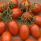 Roma tomato: what is special and how to grow it?