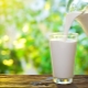 Wat is het verschil tussen gepasteuriseerde melk en gesteriliseerde melk?