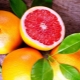 Grapefruit: Eigenschaften und Verwendungen