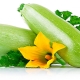 Hoe courgette goed water geven?