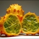 Kiwano: mô tả, ứng dụng và trồng trọt