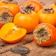 Persimmon bij diabetes: voordelen, nadelen en regels voor gebruik