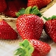 What varieties of strawberries to choose for cultivation in Siberia?