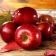 Rode appels: calorieën, samenstelling en glycemische index