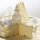 Przepisy Camembert