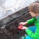 De subtiliteiten van het voorbereiden van komkommerzaden voor het planten in de volle grond