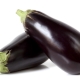 Op welke leeftijd kan aubergine aan een kind worden gegeven en hoe kunnen ze op de juiste manier in het dieet worden geïntroduceerd?