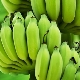 Groene bananen: kenmerken, eigenschappen en gebruiksregels