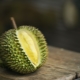 Durian: nuttige eigenschappen, contra-indicaties, tips voor gebruik 