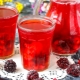 Berry compote: thuộc tính và quy tắc nấu ăn 