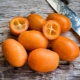 Kumquat: fruitbeschrijving, voordelen en nadelen