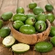 Feijoa es fuente de yodo 