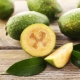 Alles over feijoa-calorieën