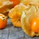 Populaire physalis-recepten