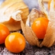 Alles over aardbei physalis