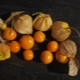 Berry Physalis: sordid, kasvatamine ja hooldus