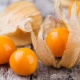 Hoe smaakt physalis?