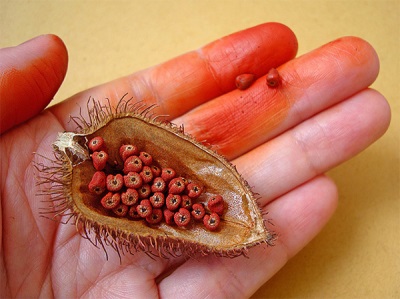 Annatto omadused