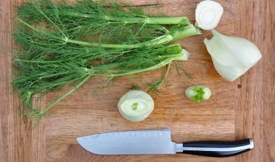 venkel voor de gezondheid