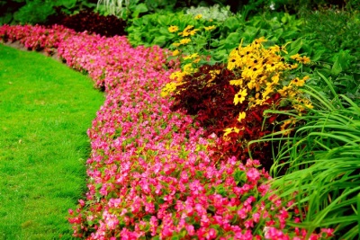 Beau parterre de fleurs avec gravier