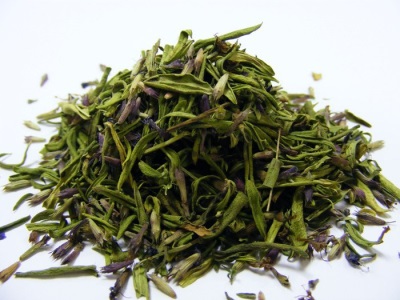 Chống chỉ định Hyssop