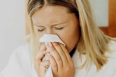 marjolein kruid tegen verkoudheid