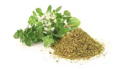 gedroogde oregano