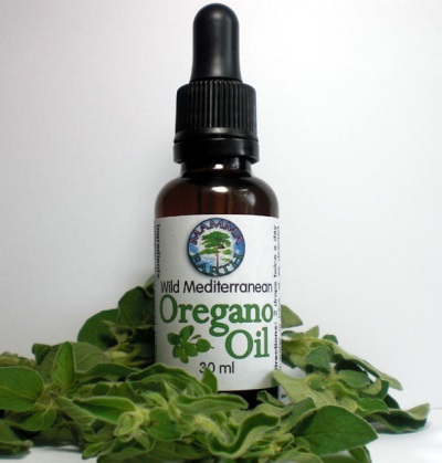 oregano olie