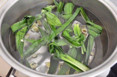 Pandanus wordt gebruikt in de geneeskunde