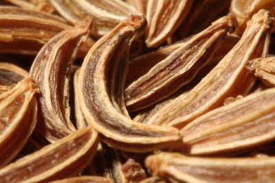 Lợi ích của hạt thì là