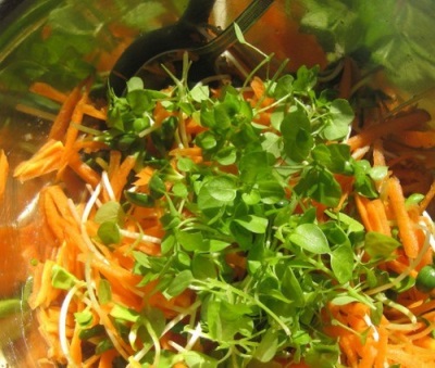 Salad với cà rốt và chickweed