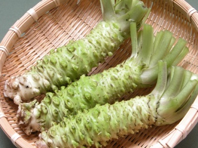 wasabi plantenwortels