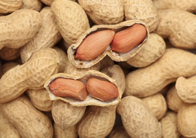 Dans la vie de tous les jours, on utilise non seulement les amandes de cacahuètes, mais aussi sa paille, ses coques, ses enveloppes