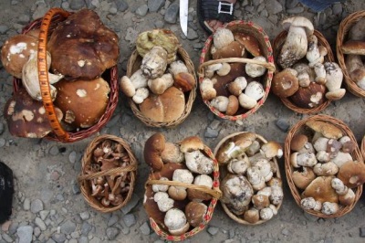 Witte champignons op de markt