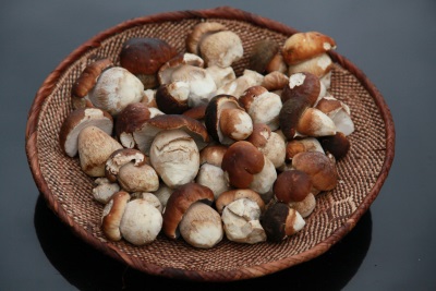 Witte champignons - veel