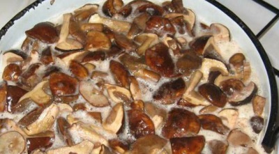 Luộc nấm porcini