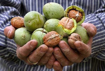 Les noix se marient bien avec de nombreux aliments, en particulier le miel.