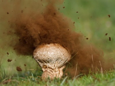 Regenjassporen in de geneeskunde