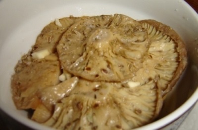 Sóng muối