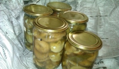 Volnushki muối nóng