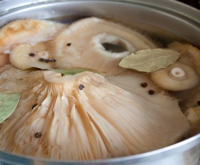 Ngâm nấm volushek
