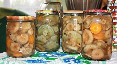 Volnushki ngâm chua