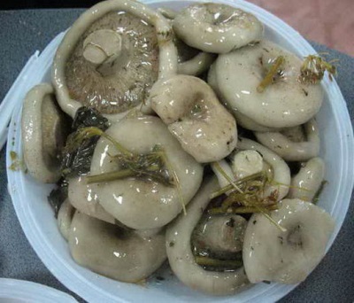 Champignons van gezouten melk