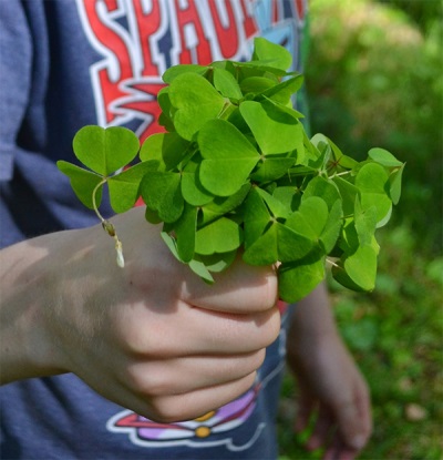 kwaśne leki