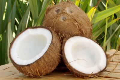 Noix de coco