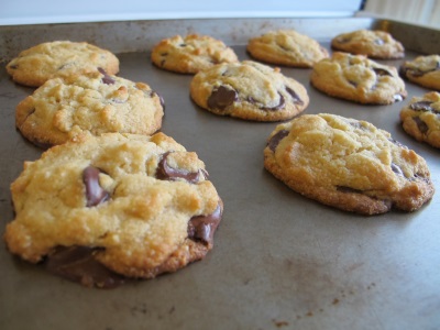 Biscuits à la farine de noix de coco