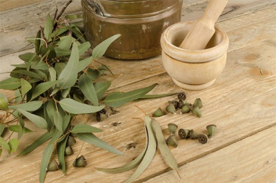 Kenmerken van eucalyptustinctuur