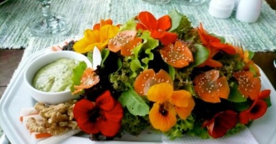 Salade met Oostindische kersbloemen