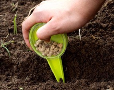 Oost-Indische kers zaden in de grond planten