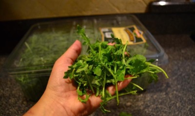 Rucola in de kometologie